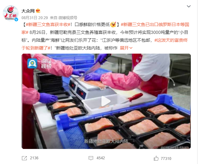三文鱼养殖市场调研报告:新疆三文鱼喜获丰收!今年预计将实现3000吨量产