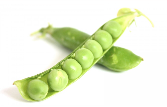 豌豆