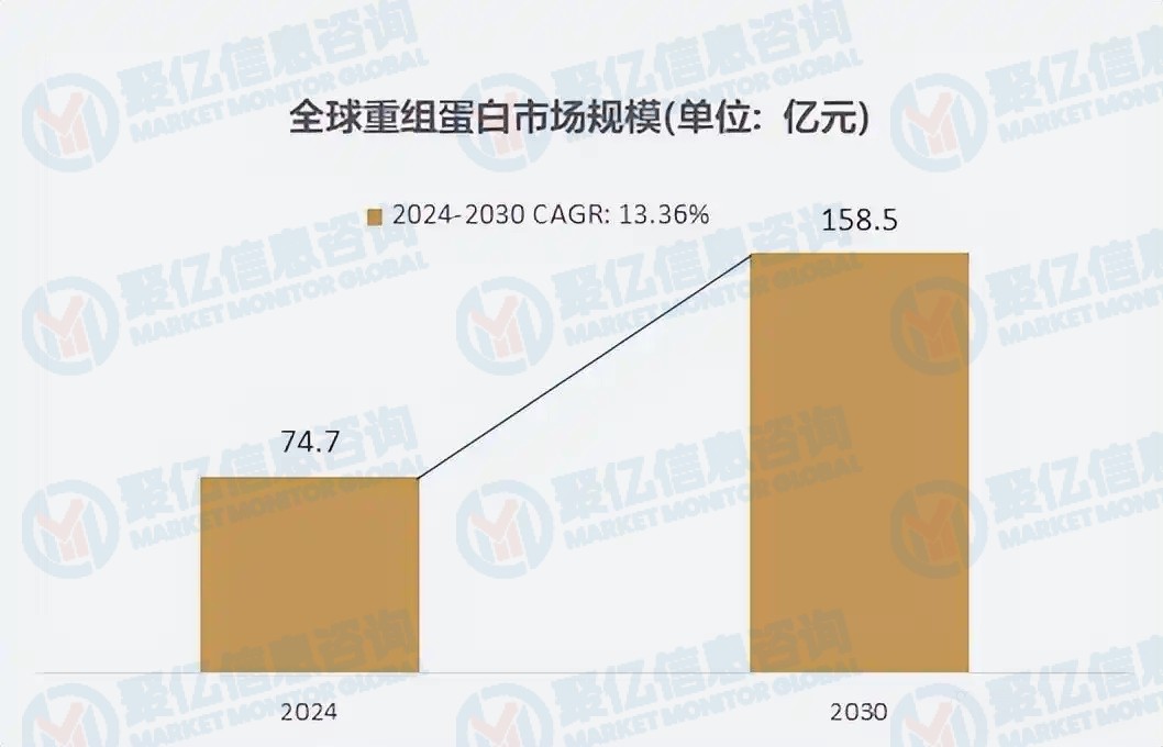 聚亿信息咨询深度报告：全球重组蛋白产业格局重构与国产化突围路径